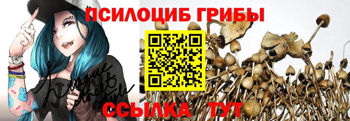 Псилоцибиновые грибы мицелий Куйбышев