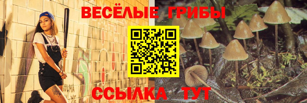 Галлюциногенные грибы мицелий  хочу наркоту  Куйбышев  Вход с VPN 